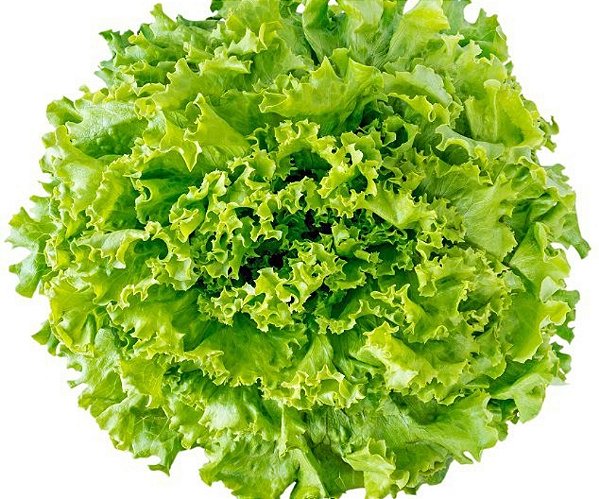 Alface Crespa Orgânica (Unidade)