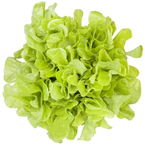 Alface Mimosa Orgânica (unidade)