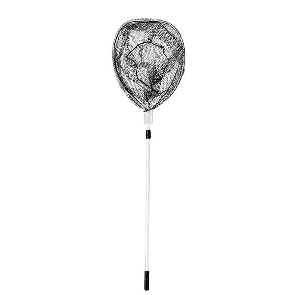 Passagua Albatroz FT4655JW