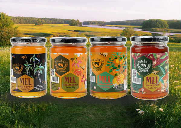 Kit completo Mel de cipó-uva 450g + Mel de laranjeira 450g + Mel silvestre 450g + Mel de eucalipto 450g