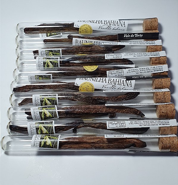 Fava de Vanilla Bahiana- Vale do Torto