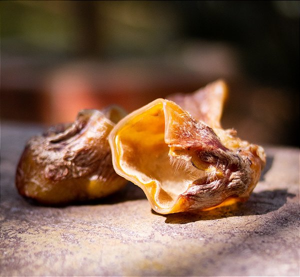 Mastigável Ouvido Bovino 100g - Luv