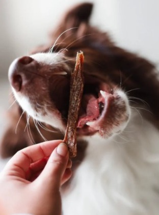 Petisco Tiras Suínas 60g - Natuka