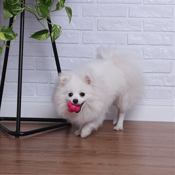 Bola Maciça Átomo 6 em 1 Pink para Cães P - Pet Games