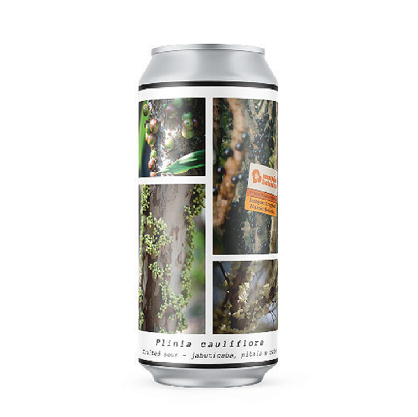 Cerveja Greenhouse Plinia Cauliflora Fruited Sour Lata 473ml