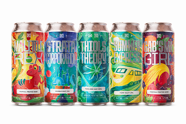 Kit 5 Cervejas Fermi Experience