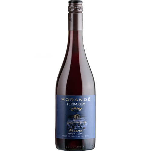 Morandé Terrarum Reserva Pinot Noir 2023
