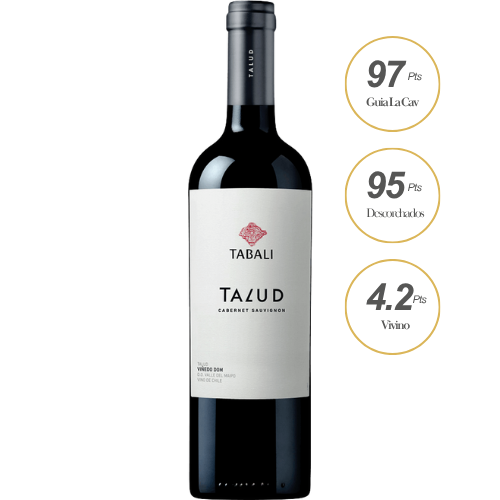 Tabalí Talud Cabernet Sauvignon 2017