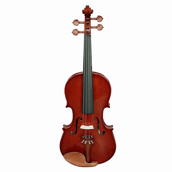 VIOLINO SERIE ARCO GIANNINI 4/4 NATURAL BRILHANTE COM CASE