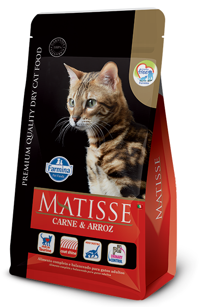Matisse Carne Arroz 2Kg