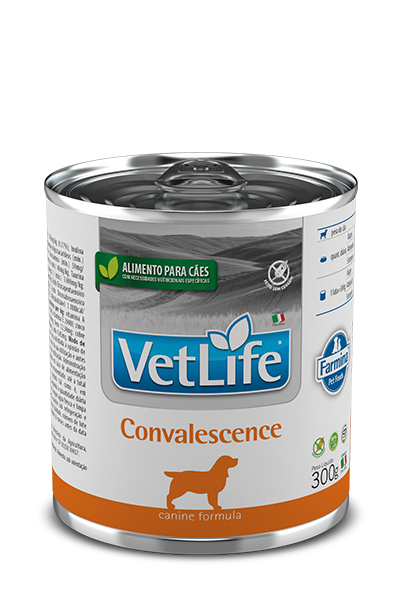 Vetlife Canine Umido Convalescence 300G