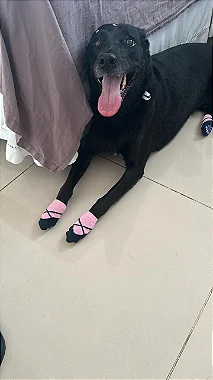 MEIA COLORS M