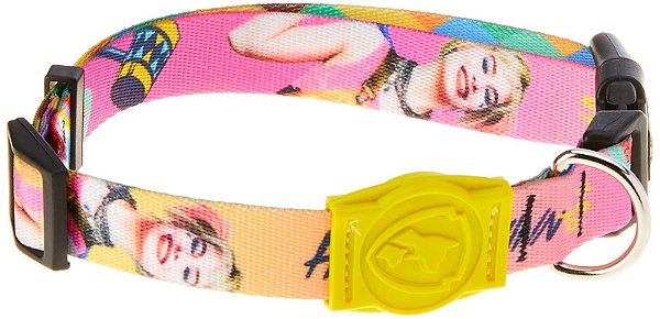 Coleira P/ Gatos Arlequina