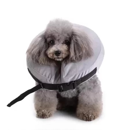 COLAR RECUP. ELIZABETANO INFLAVEL - G (40 CM)CINZA