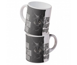 CANECA EU TENHO UM GATO PRETO