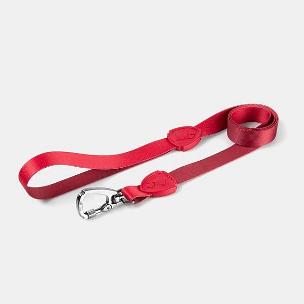 Guia Tradicional 1,2M Flat Bordo - Pp