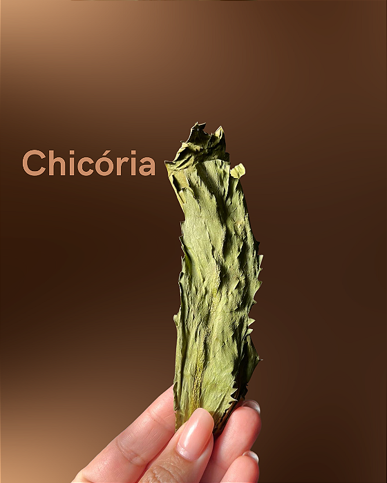 Chicória Desidratada 8g