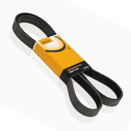 Correia Poly V Contitech  A8 A6 6Pk1885