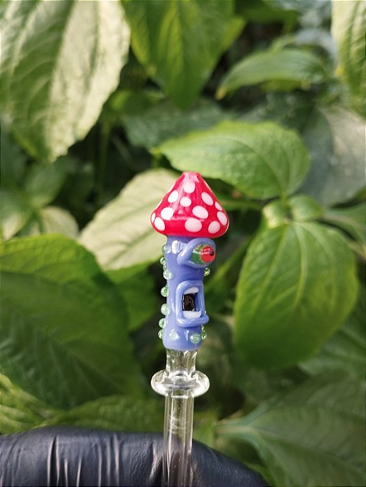 Piteira de Vidro CoguMonster