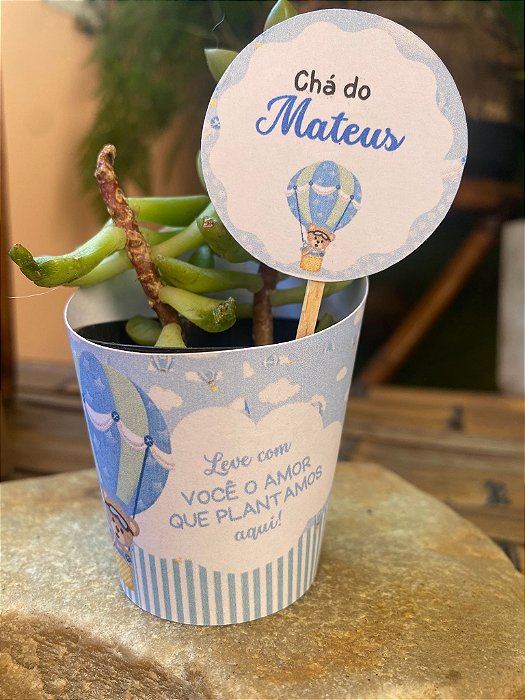 Rotulo para Sucuelnta Tema Urso Baloeiro 50 unidades + Tag Personalizada