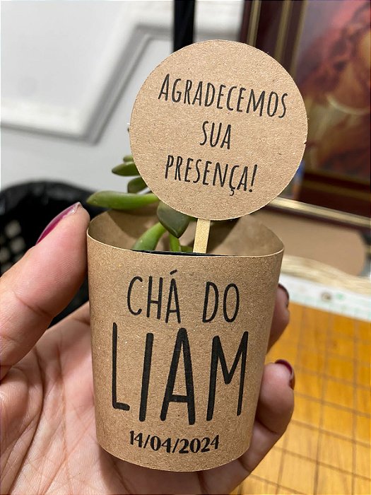 30 Rotulos para Suculenta Com Sua Frase  + Tag Personalizada
