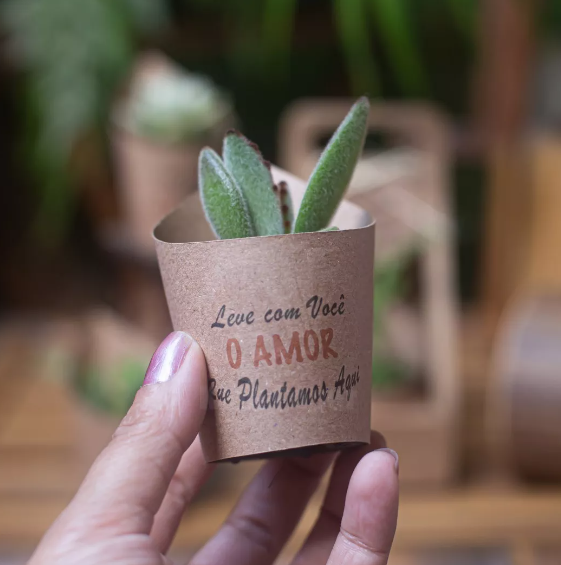 Rotulos para Suculenta Sua Frase ou logo Personalizado 60 Unidades
