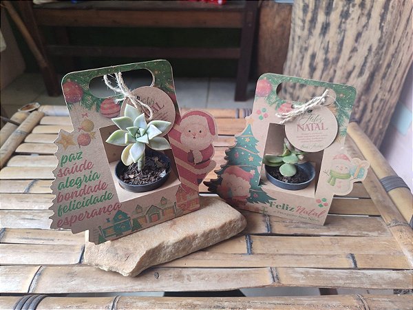 Caixa Para Suculenta + Tag Natal Kraft - 30 unidades