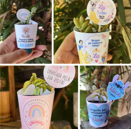 80 Rotulos para Suculenta Arco Iris  + Tag Personalizada
