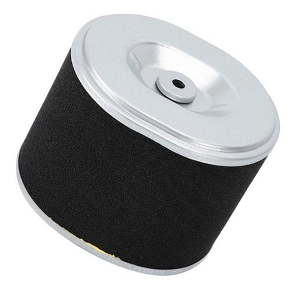 Elemento Filtro de Ar Motor Gasolina G8.0/9.0 814 BUFFALO