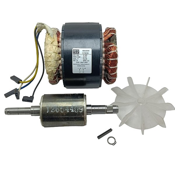 Motor Elétrico Para Lavadora Jacto J6000 127 V 1174987