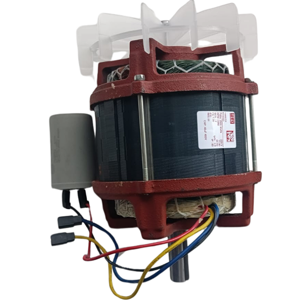 MOTOR ELETRICO 2500W 2,0HP 220V 60HZ PARA CORTADORES DE GRAMA ELETRICO 78795/419