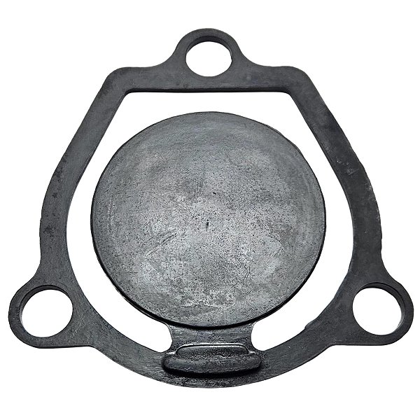 Válvula de entrada motobomba 2 pol. Buffalo 01012