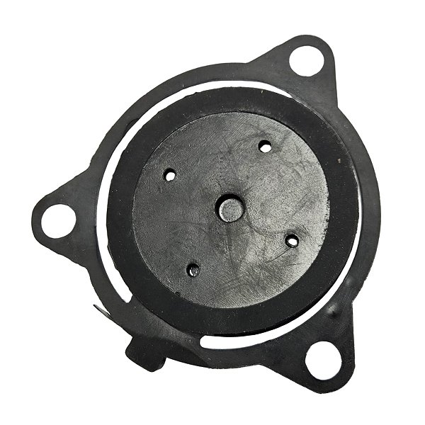 Valvula de Entrada Motobomba BFG 3 POLEGADAS G6.5 BUFFALO