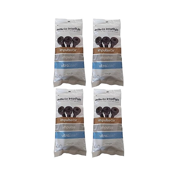 04 Jg Teteira Insuflador Triangular Impulse Air Ip10mv Evo