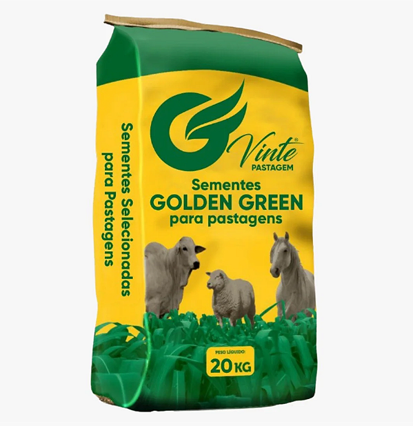 Capim Aruana - 1 kg De Sementes