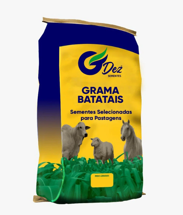 Sementes de Grama Batatais 2 kg para jardim e campo de futebol