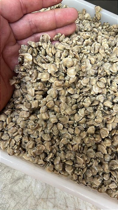 Vongole limpo - 500g