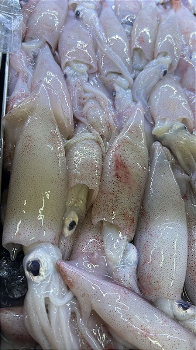 Lula Nacional fresca - 1kg
