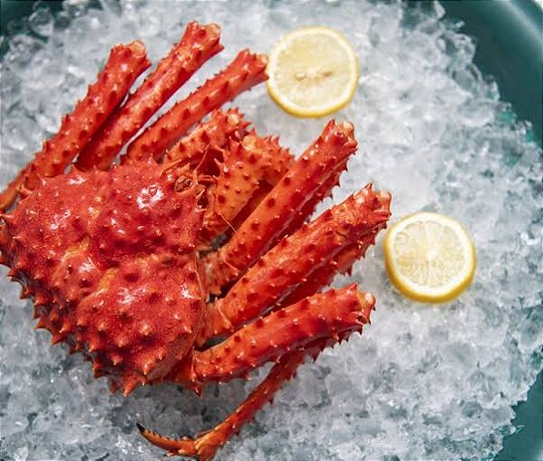 Centolla King Crab