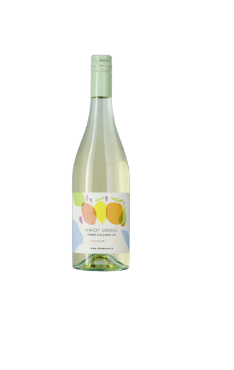 Vinho Branco Italiano Mediterrânico Pinot Grigio Sicília IGT - Orgânico 750 ML