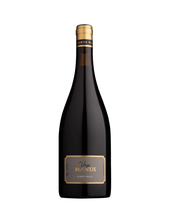 Vinho Tinto Manus Virgo Pinot Noir 2024