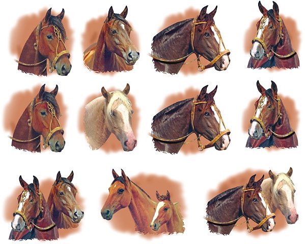 Decalque para Porcelana - Cabeças de Cavalo - 5cm