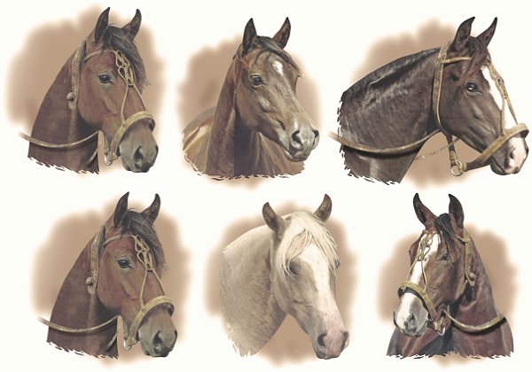 Decalque para Porcelana - Cabeças de Cavalo - 6,5cm (tonalidade diferente - mais escuro)
