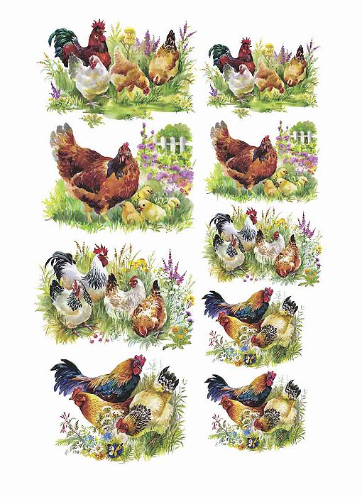 Decalque para Porcelana - Galos e Galinhas 8 e 6cm