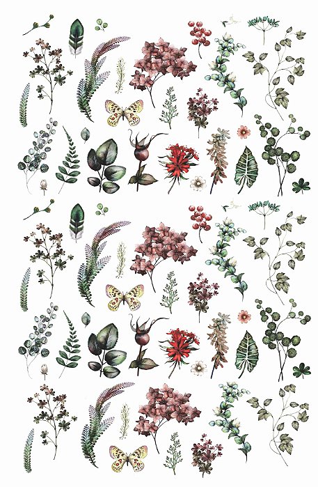 Decalque para Porcelana - Botanic