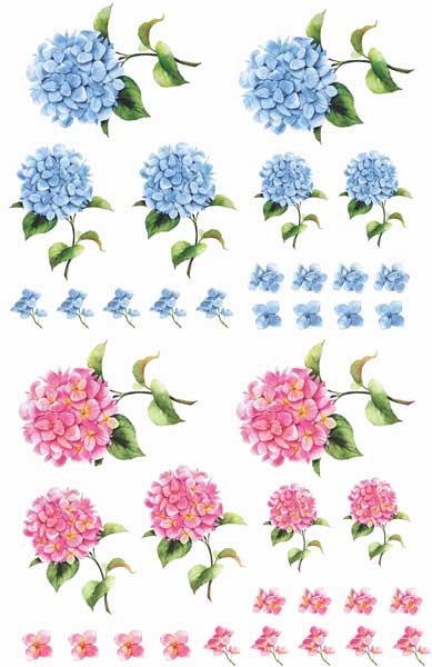 Decalque para Porcelana - Hortênsia