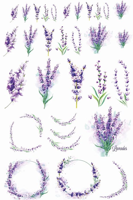 Decalque para Porcelana - Lavandas