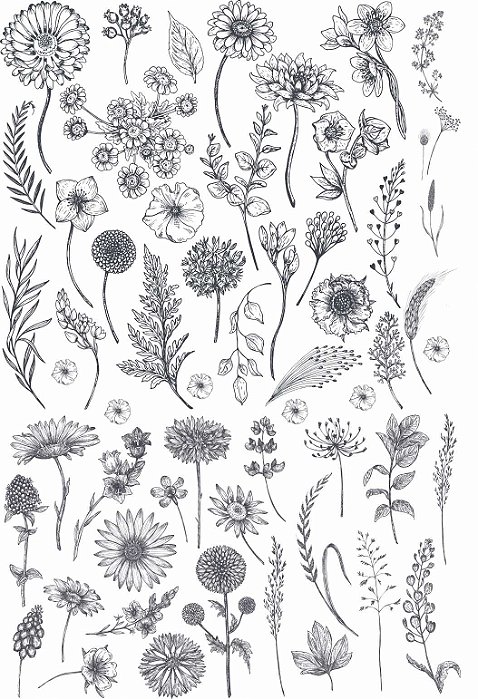 Decalque para Porcelana - Monocromático Flores