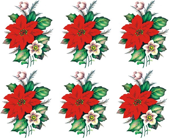 Decalque para Porcelana - Flor de Natal 8cm