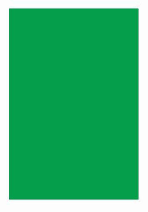 Folha Colorida Verde EV14101 - Vidro